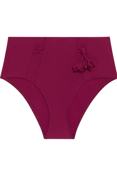 Simone Perele 1Eh Miracle Retro Brief